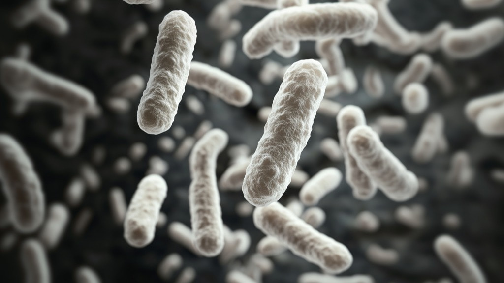 probioticos-vaginales-actifemme