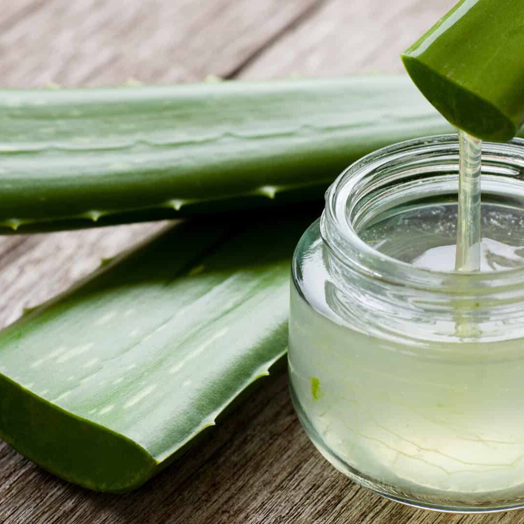 aloe-vera